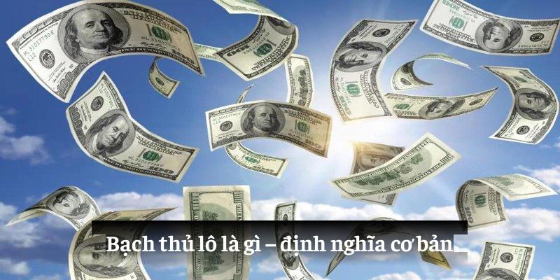 Bạch thủ lô là gì – định nghĩa cơ bản